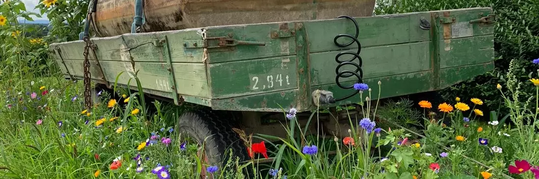 Anhänger in Blumenwiese